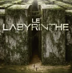 Animation festival Imaginarium Table ronde Adaptations littéraires au cinéma : quelles influences? - Affiche Labyrinthe